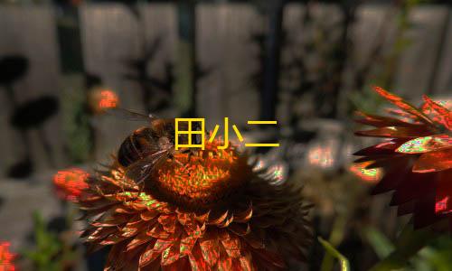 KS业务下单平台超低价田小二