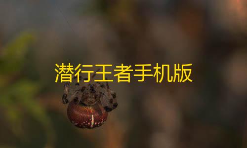 DY免费直装6.0潜行王者手机版